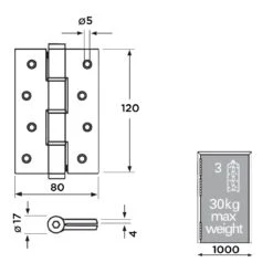 SA120 Pair Of Spring Hinges